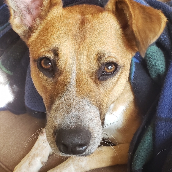 Meet your Posher, Rachel - Picture 5 of 5